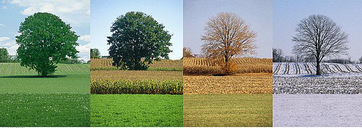 传闻：《龙腾世纪4》将于2023年正式发布